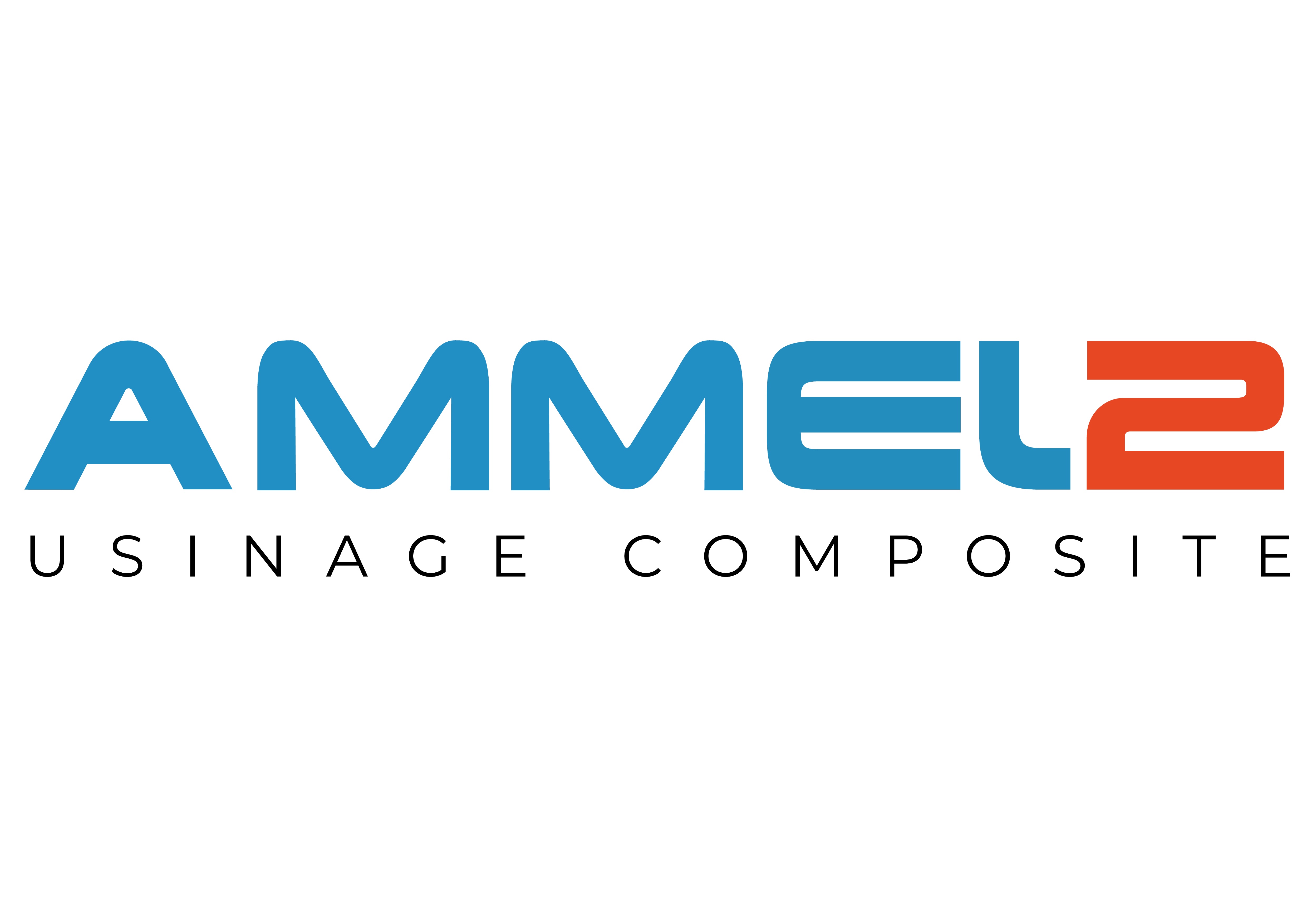 AMMEL2